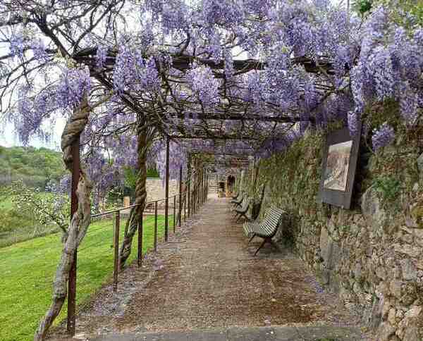 Le Chaintreau à Mortagne-sur-Sèvre - Villadim