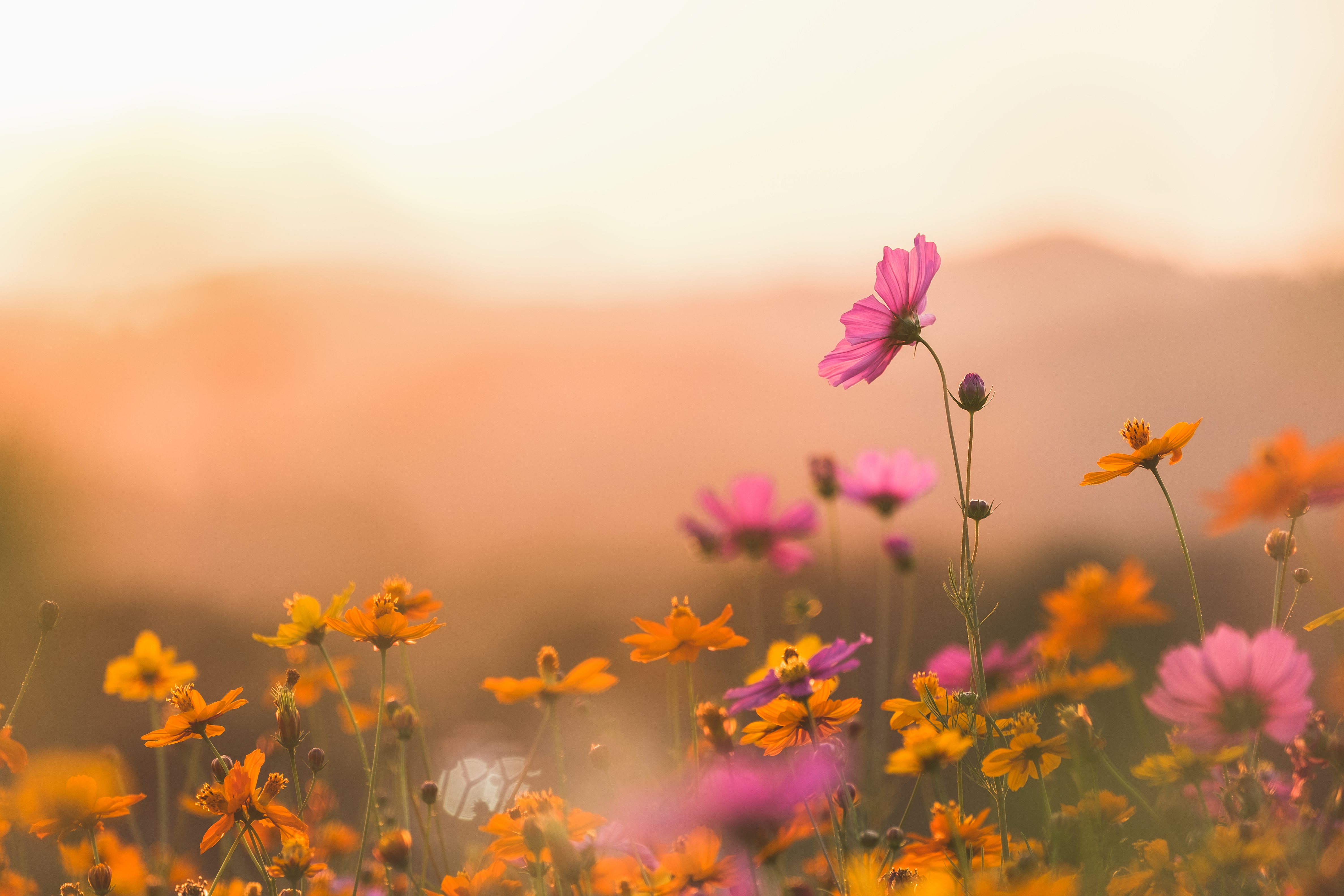 AdobeStock_193079567