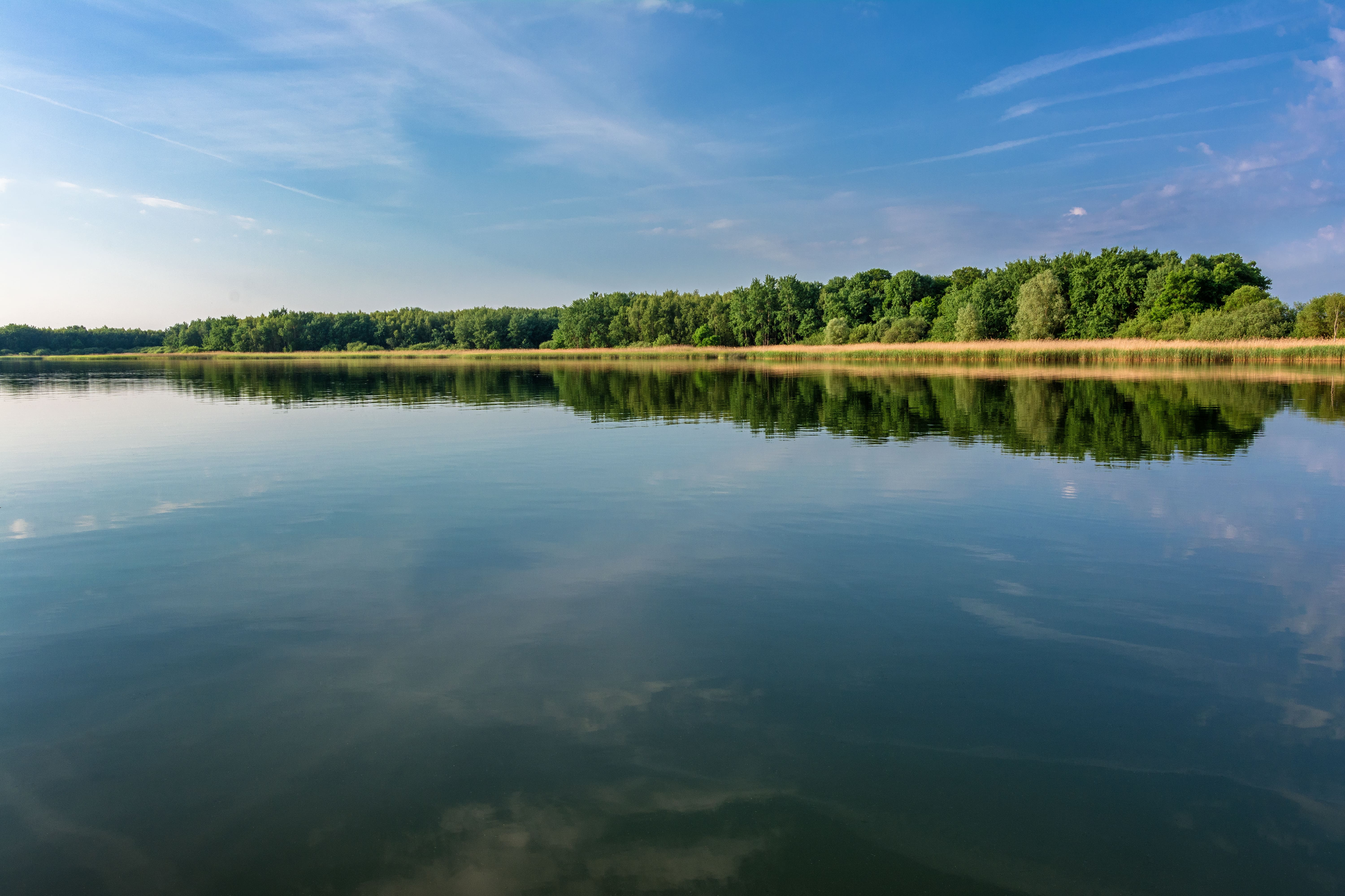 Lac